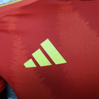 Spain Euros 24/25 Home (Player), Detail