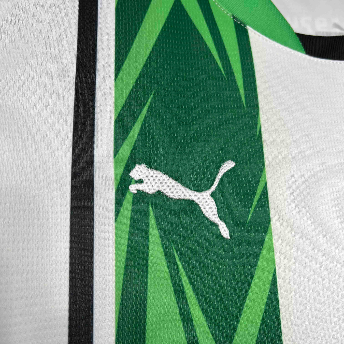 Borussia Mnchengladbach 24/25 Home (Fan)