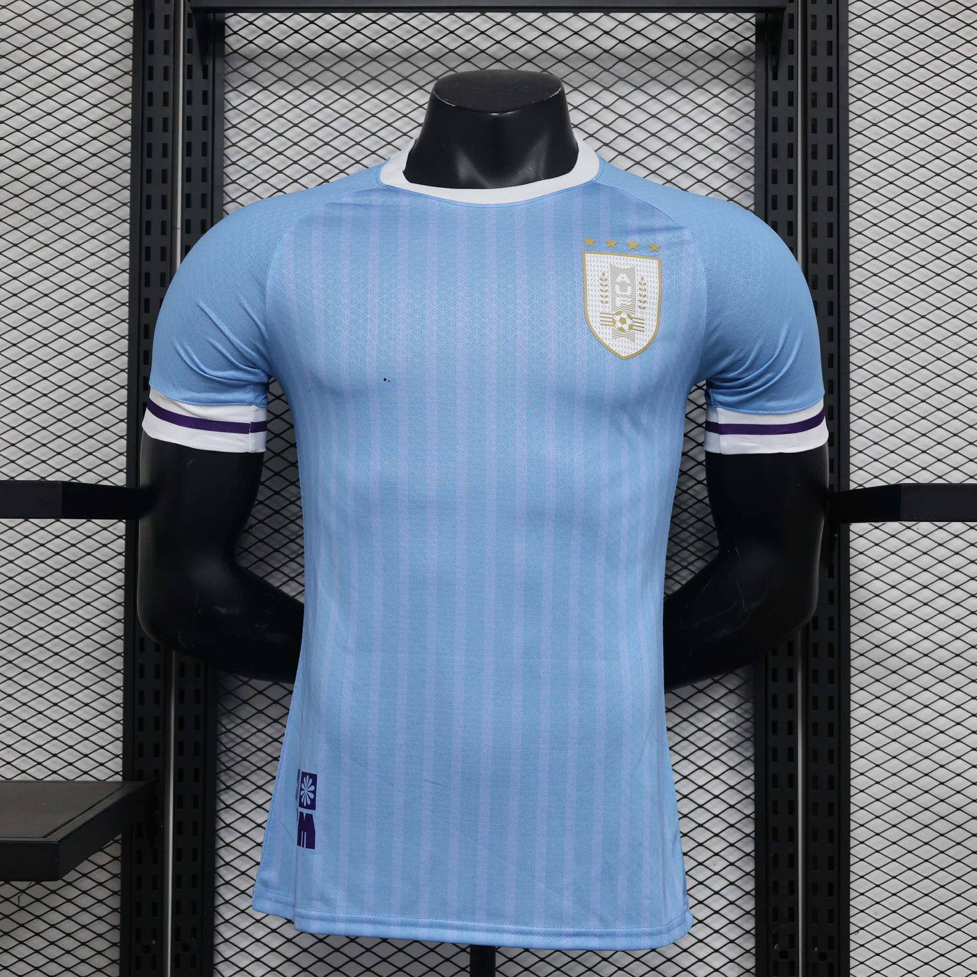 Uruguay Copa America 24/25 Home (Player), Front Side