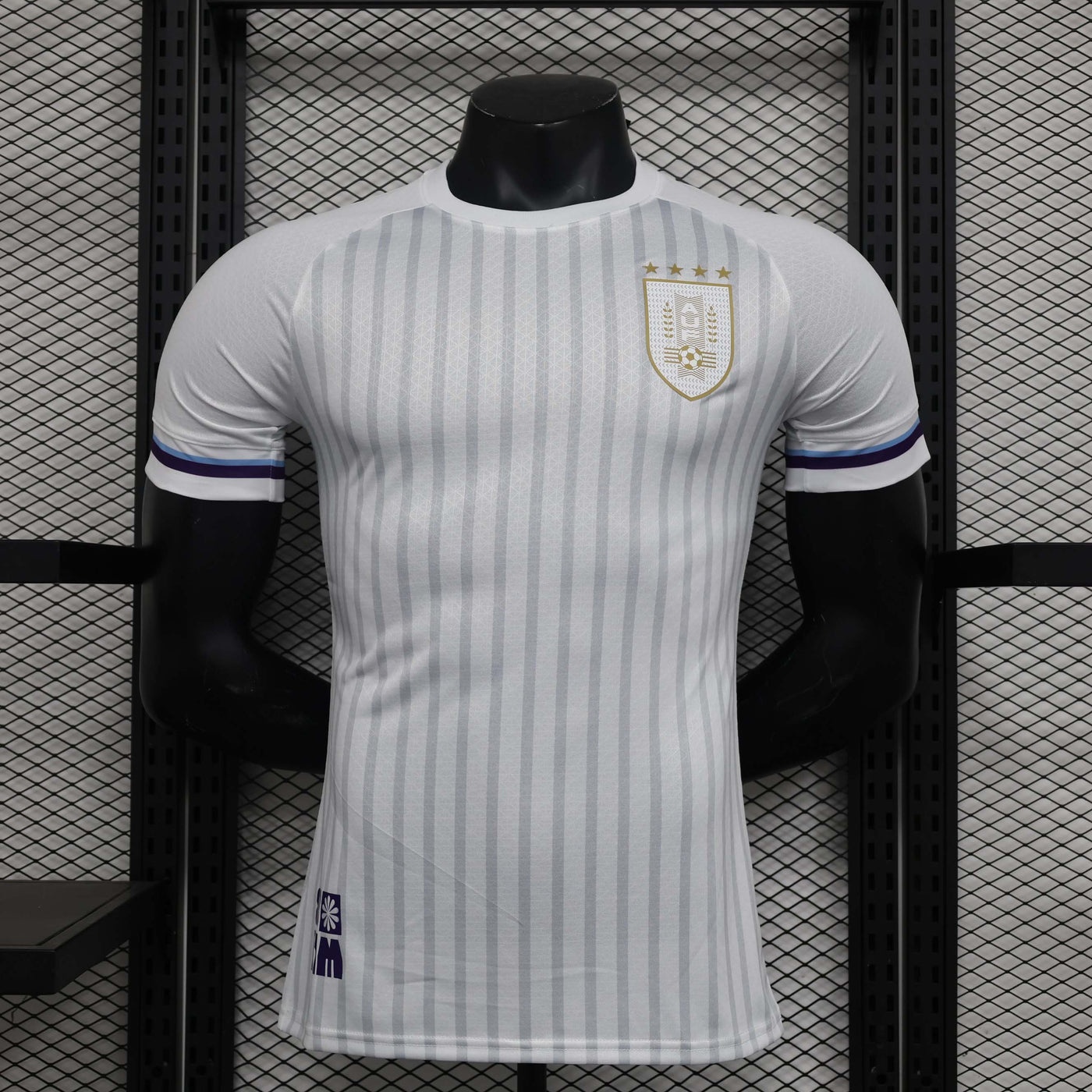 Uruguay Copa America 24/25 Away (Player), Front Side