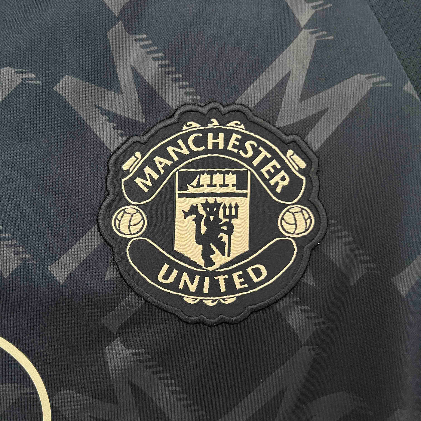 Manchester United 24/25 Away (Fan)