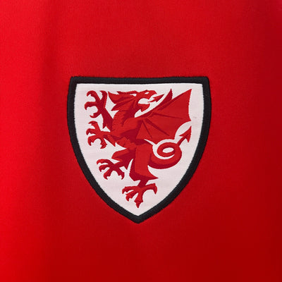 Wales 24/25 Home (Fan)