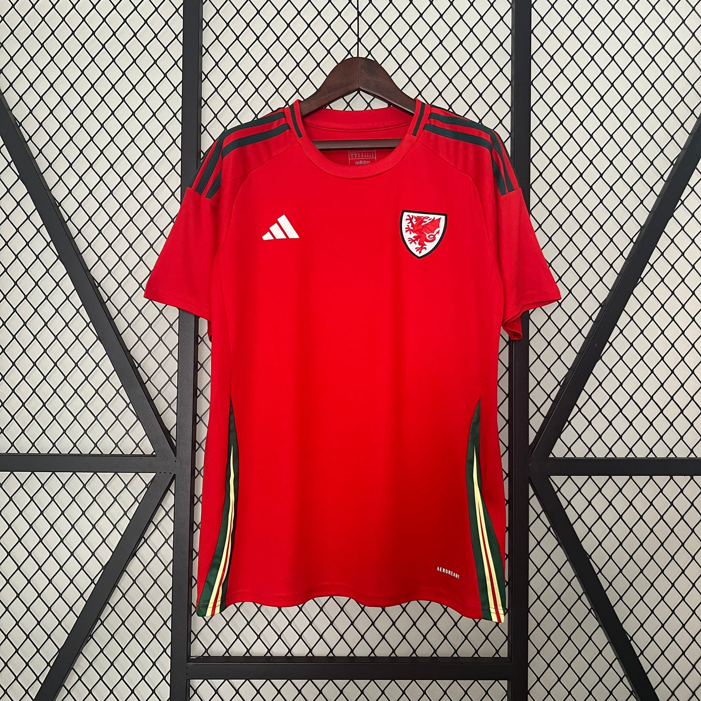 Wales 24/25 Home (Fan)