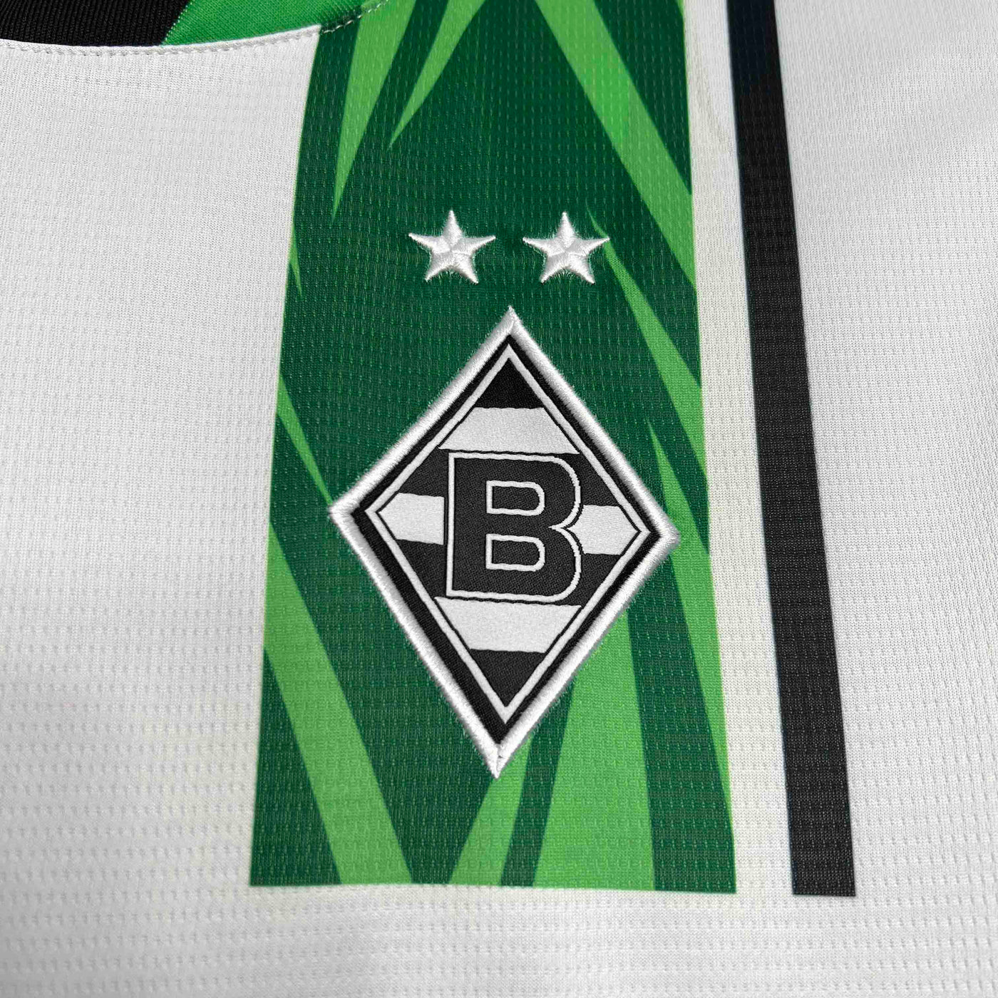 Borussia Mnchengladbach 24/25 Home (Fan)